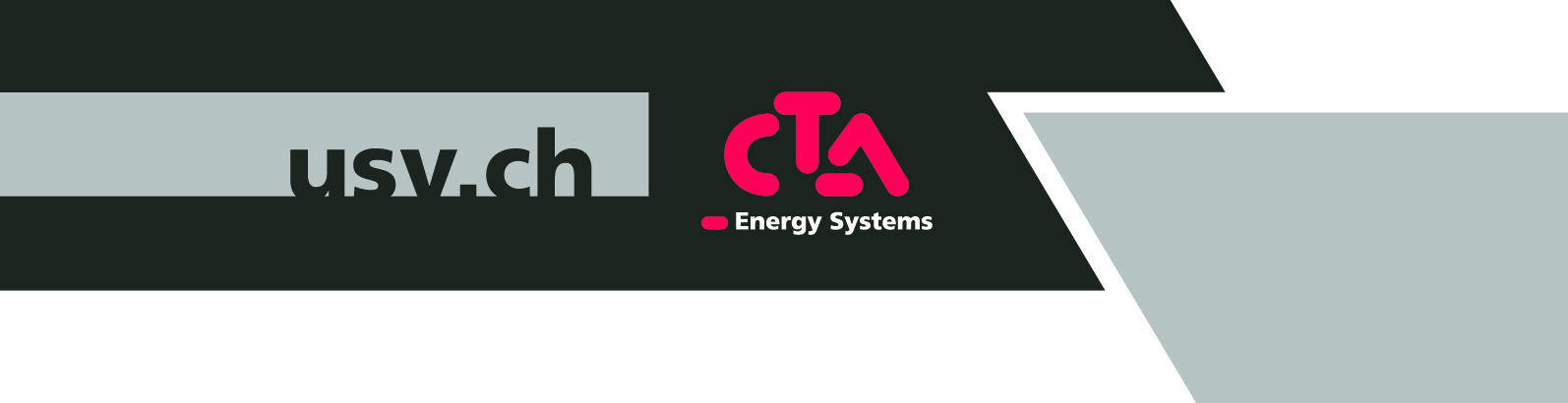 BSM Logo 530x398.jpg.2020 01 29 10 02 47 1